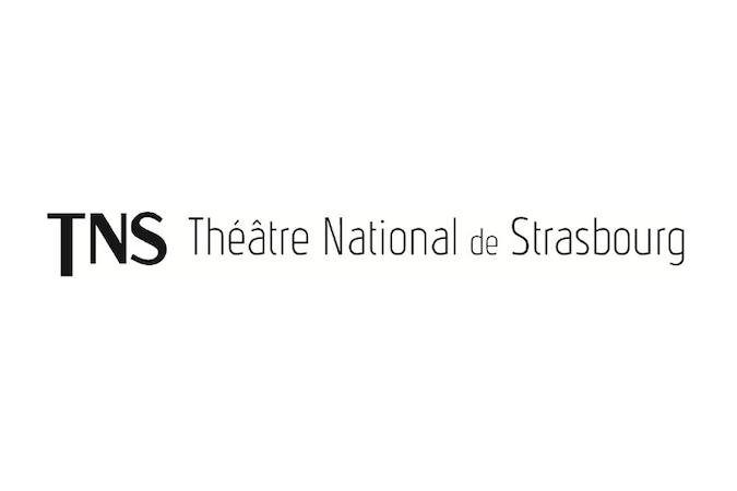 tns logo 1